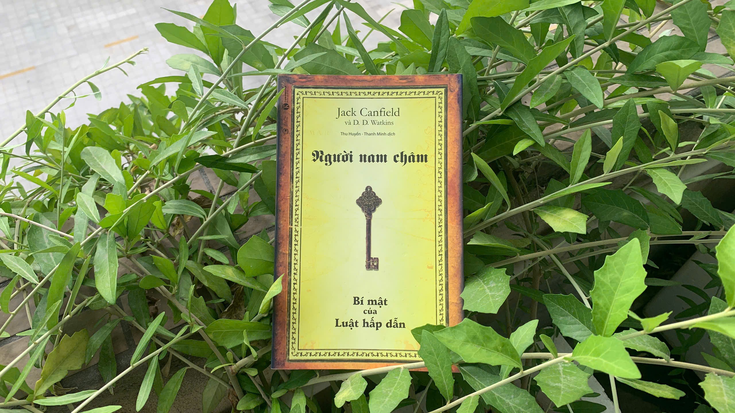 Người nam châm bí mật của  luật hấp dẫn
